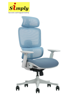 Beyond 65 Ergonomic Chair (Foam Seat)