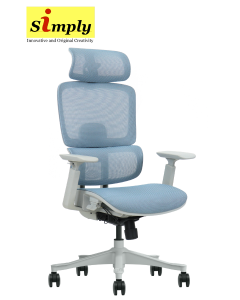 Beyond 65 Ergonomic Chair (Mesh Seat)
