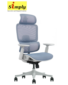 Beyond 66 Ergonomic Chair (Mesh Seat)
