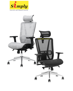Orion Executive Ergonomic (Mesh Seat)