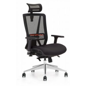 Ergonomic Chair