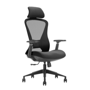 ELITE Executive Ergonomic Chair – XL Comfort Series for Taller Users