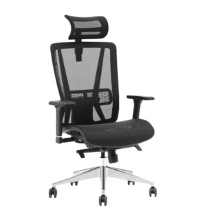 Orion Black Mesh Ergonomic Chair, high elasticity mesh, adjustable lumbar, SGS certifed