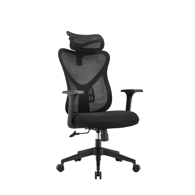 Radius High Back Mesh ergonomic office chair shown from the front and side, highlighting the adjustable 2D headrest and contoured mesh backrest.