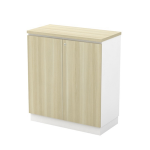 910mm Low Swing Door Cabinet