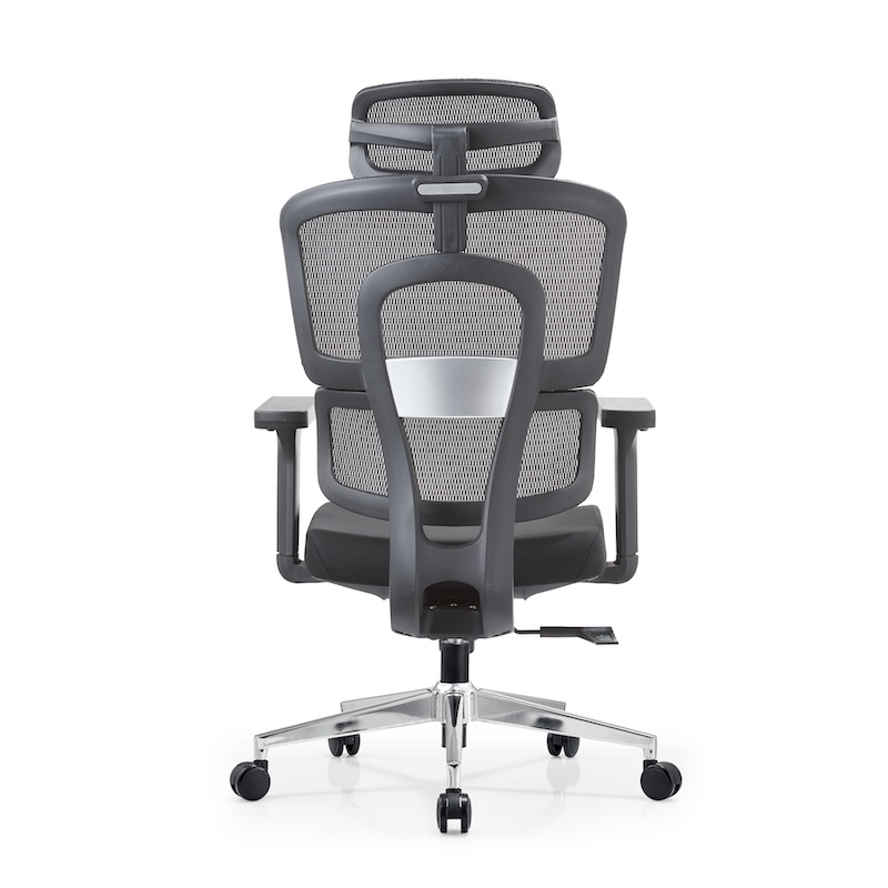 Full rear view of the Aura LX Ergonomic Chair highlighting the breathable mesh back and reinforced support frame.