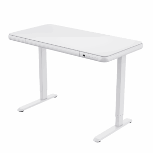 Flexispot Height Adjustable Desk