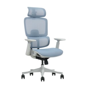 Ergonomic Chairs