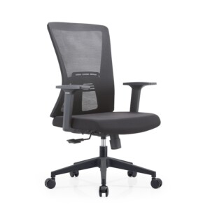 Quanta Vue Mid Back Mesh Chair with reinforced glass fibre frame and high-density moulded foam seat.